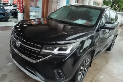 Forthing T5