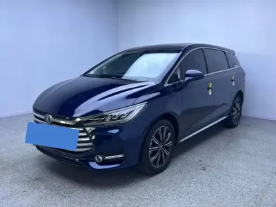 BYD MAX New Energy