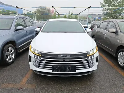 BYD Destroyer 05