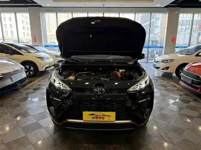Toyota Wildlander
