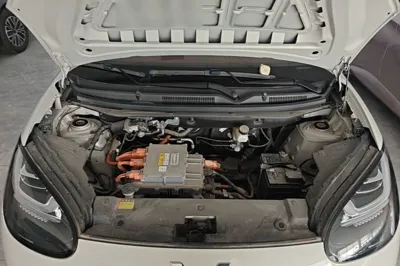 Wuling Bingo
