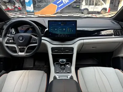 BYD PLUS New Energy