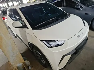 BYD Seagull