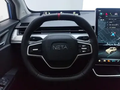 NETA Neta V