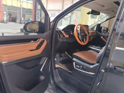 Maxus G20