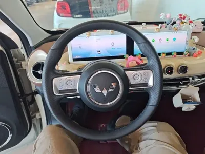 Wuling Bingo