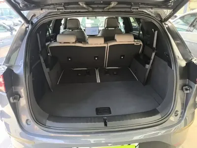 BYD Tang New Energy