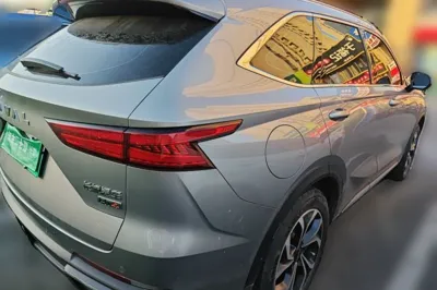 Haval Fierce Dragon Max