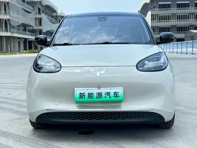 Wuling Bingo