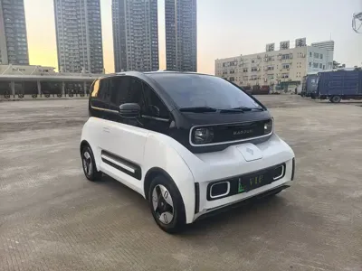 Baojun E300