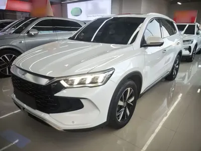 BYD Pro New Energy