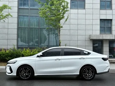 Geely Binrui