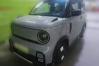 Geely Galaxy Panda