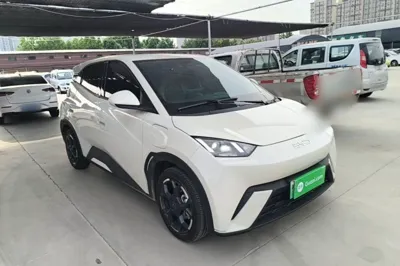 BYD Seagull