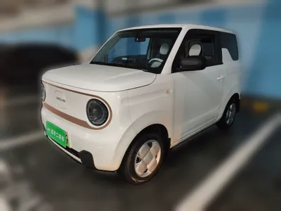Geely Galaxy Panda