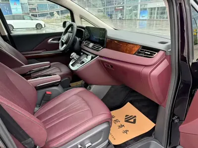 Hongqi Hongqi HQ9