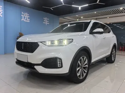 WEY Wey VV6