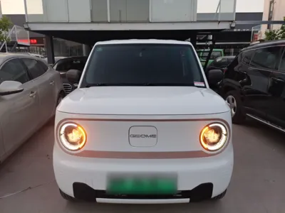 Geely Galaxy Panda