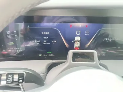 Hongqi Hongqi E-HS9