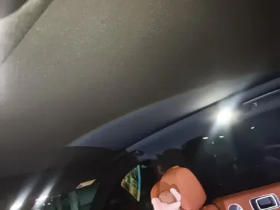 Li Auto Li L6