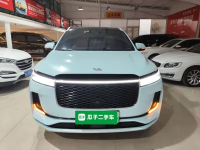 Li Auto ONE