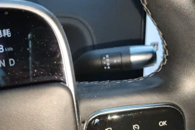 Li Auto L9