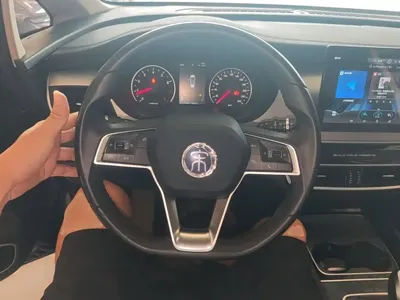 BYD MAX
