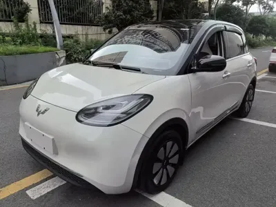 Wuling Bingo