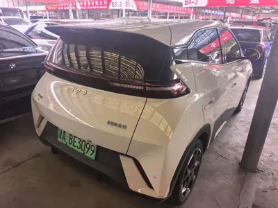 BYD Seagull