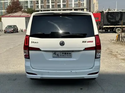 Fengxing Lingzhi PLUS