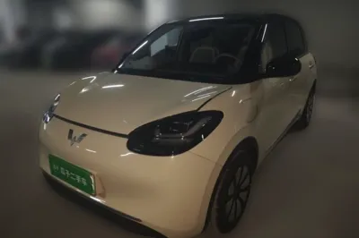 Wuling Bingo