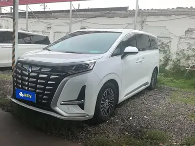 Denza Denza D9