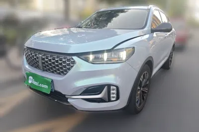 WEY VV6