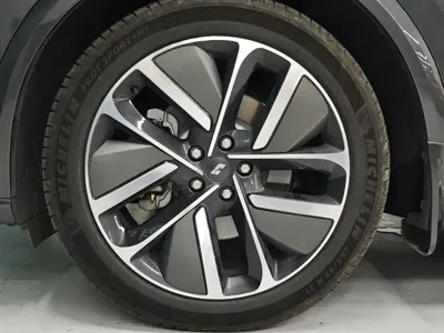 Li Auto Li L7