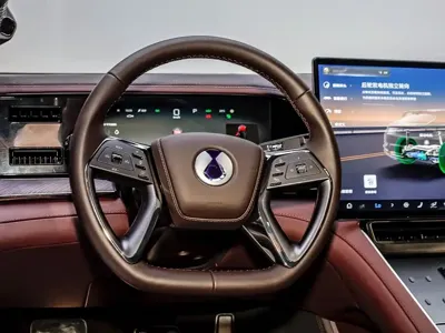Denza Denza Z9GT