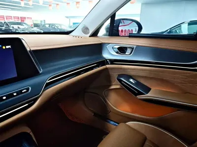 Hongqi Hongqi H9