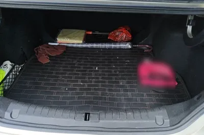 Geely Auto Binray