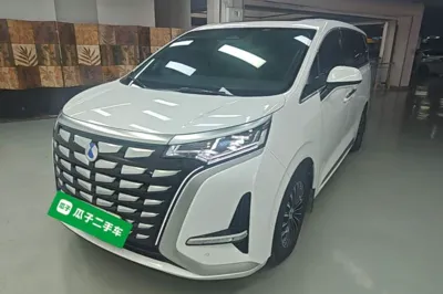 Denza D9
