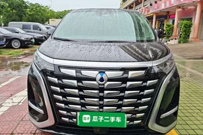 Denza D9