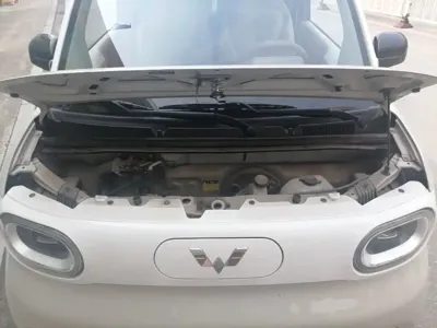 Wuling MINIEV