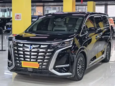 Denza Denza D9
