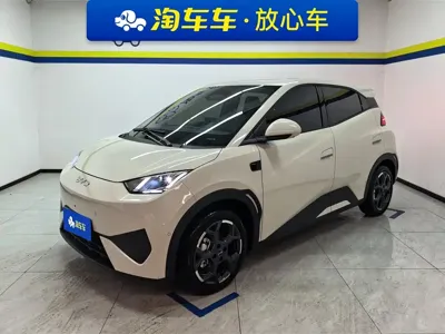 BYD Seagull
