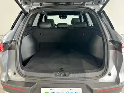 BYD Pro New Energy