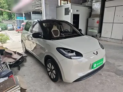 Wuling Bingo