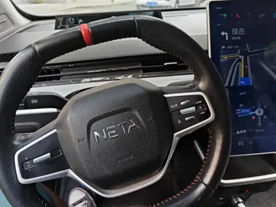 NETA Neta V