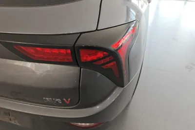 NETA V