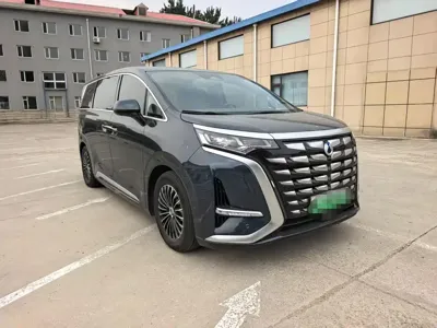 Denza Denza D9
