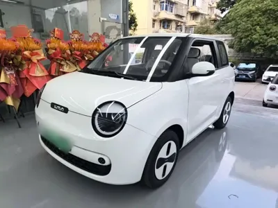 Qiyuan Lumin