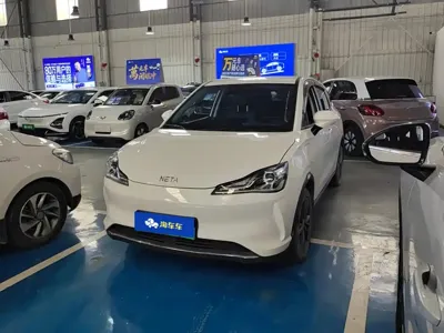 NETA Neta V