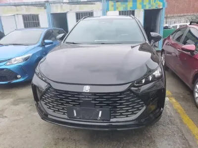 BYD Tang New Energy